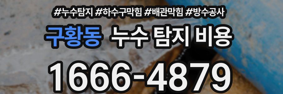구황동 누수 탐지 비용