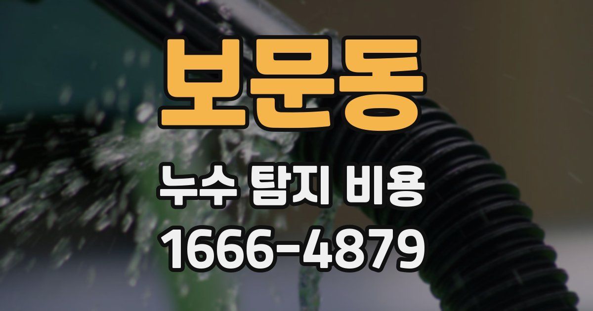 보문동 누수 탐지 비용