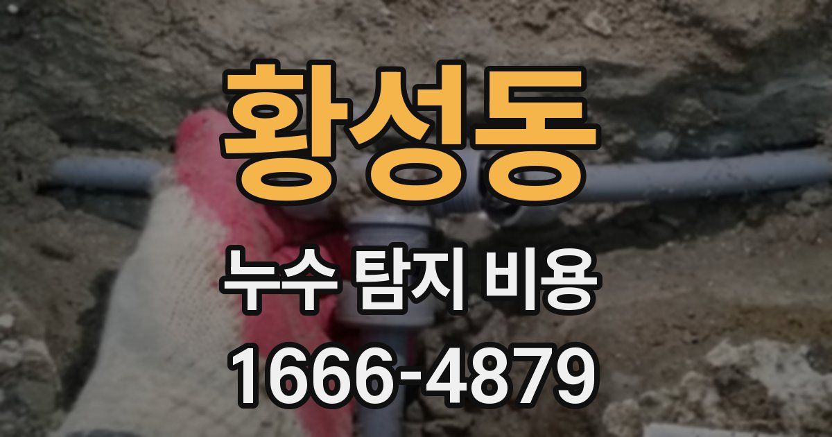 황성동 누수 탐지 비용