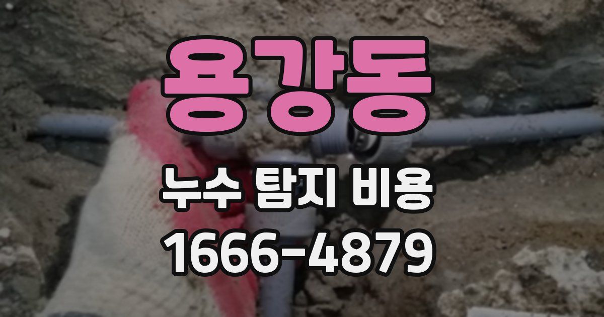 용강동 누수 탐지 비용