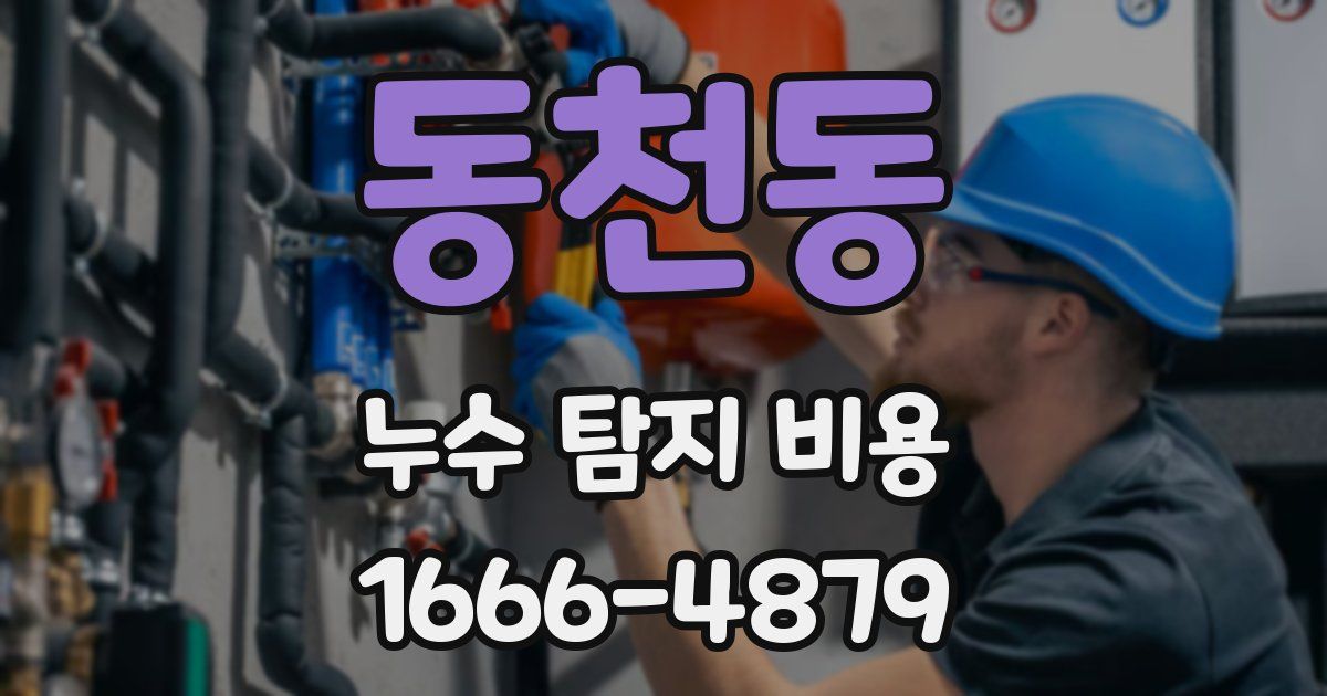 동천동 누수 탐지 비용
