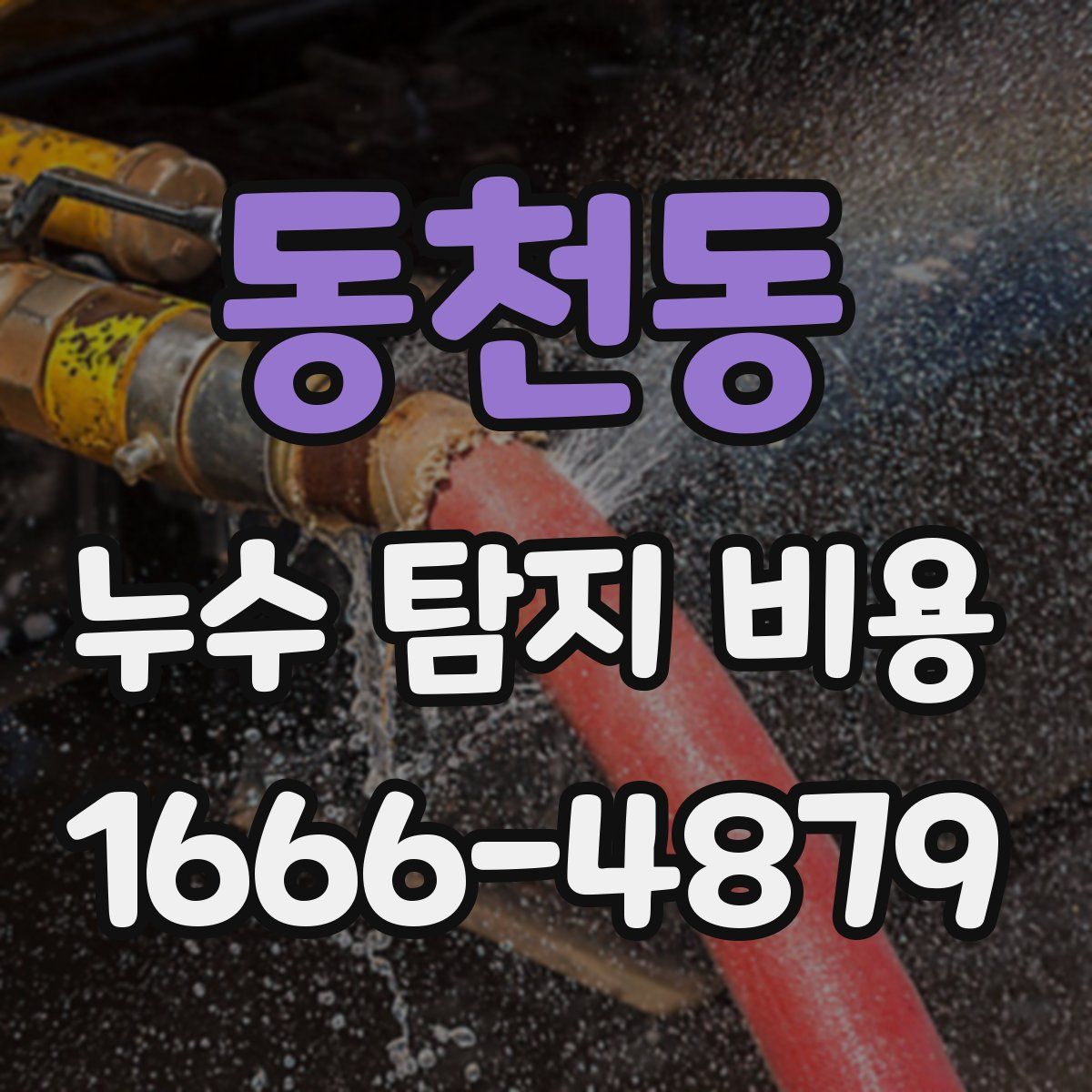 동천동 누수 탐지 비용