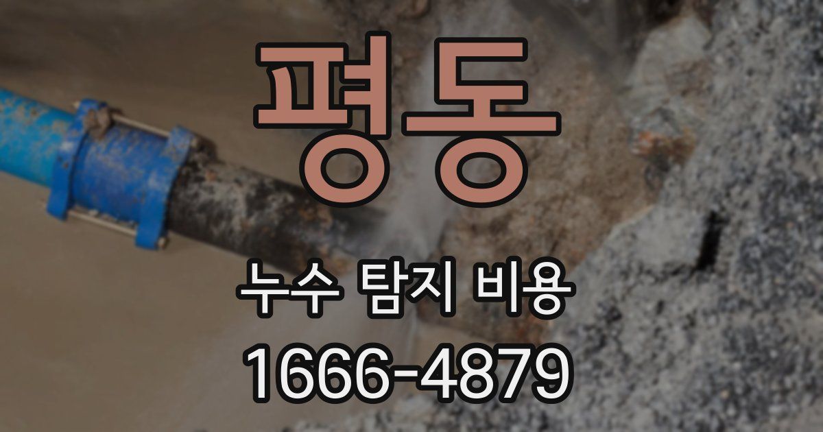 평동 누수 탐지 비용