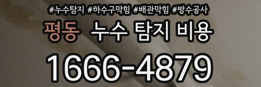 평동 누수 탐지 비용