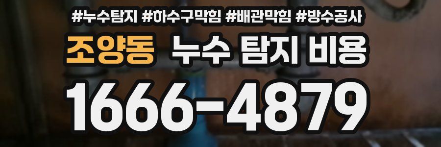 조양동 누수 탐지 비용