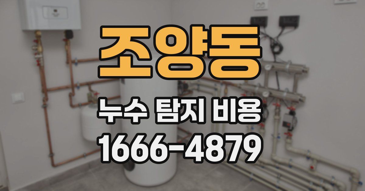 조양동 누수 탐지 비용