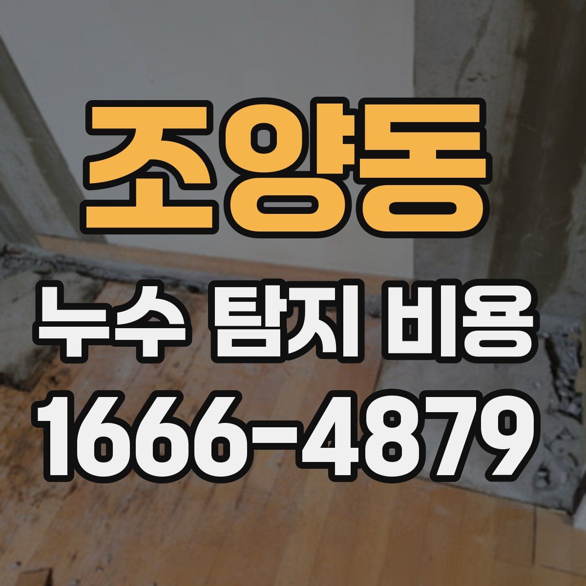 조양동 누수 탐지 비용