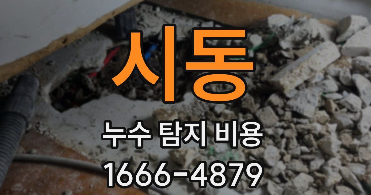 시동 누수 탐지 비용