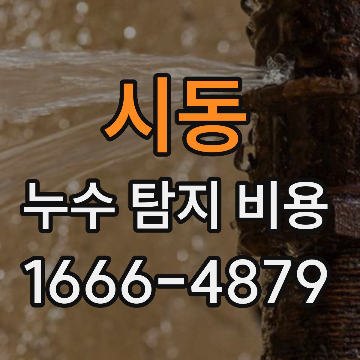 시동 누수 탐지 비용
