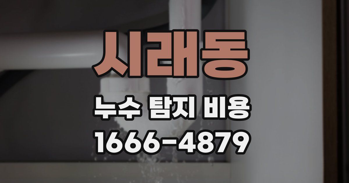 시래동 누수 탐지 비용