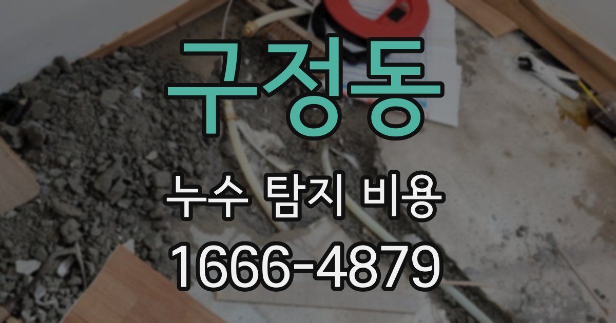 구정동 누수 탐지 비용