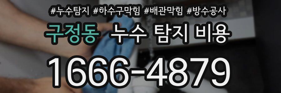 구정동 누수 탐지 비용