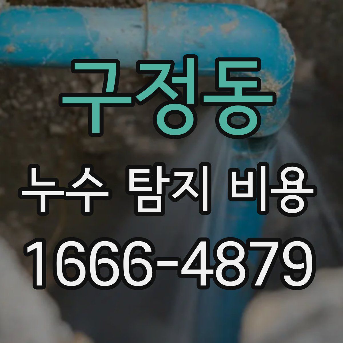 구정동 누수 탐지 비용