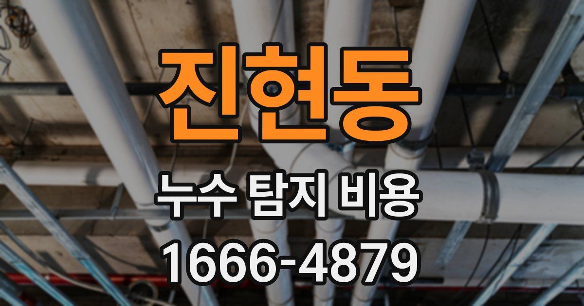 진현동 누수 탐지 비용