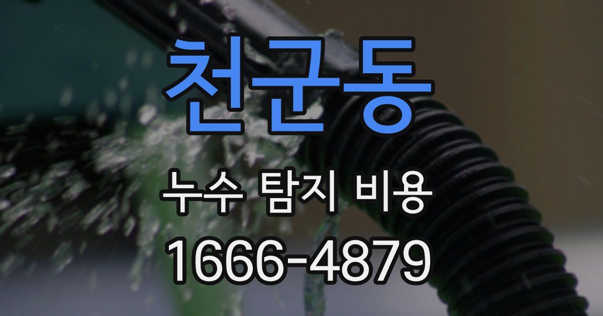 천군동 누수 탐지 비용