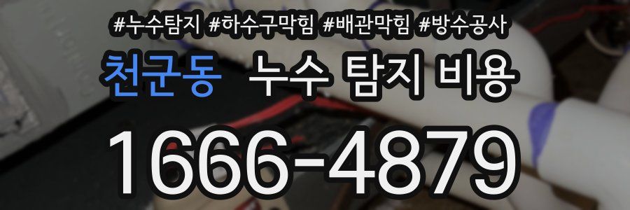 천군동 누수 탐지 비용