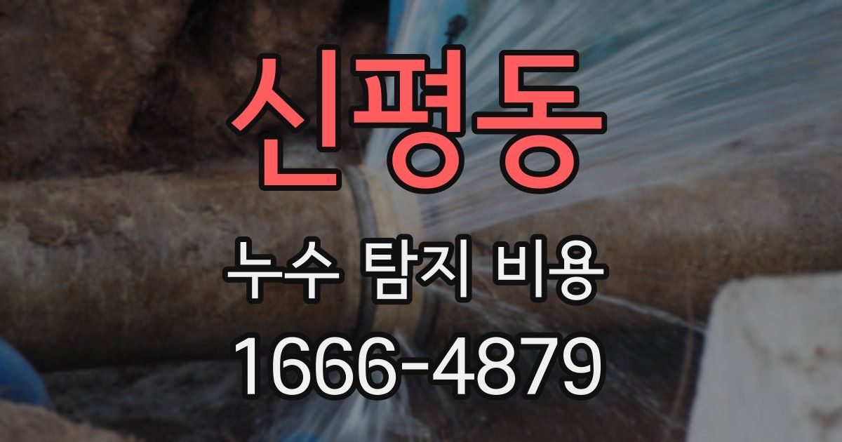 신평동 누수 탐지 비용