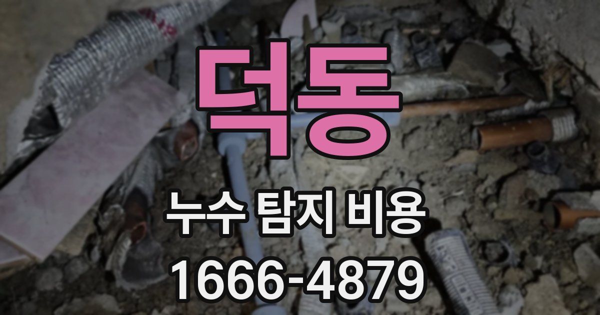 덕동 누수 탐지 비용