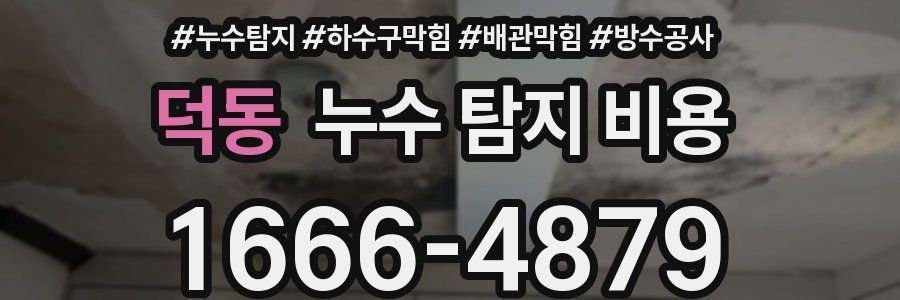 덕동 누수 탐지 비용