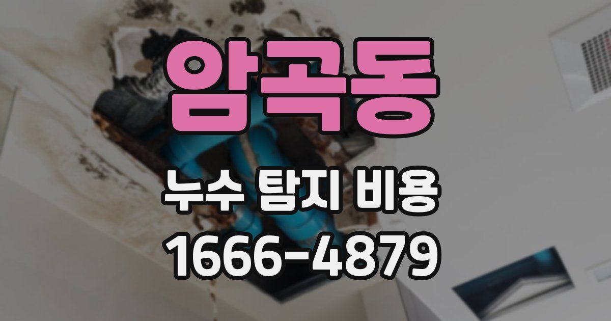 암곡동 누수 탐지 비용