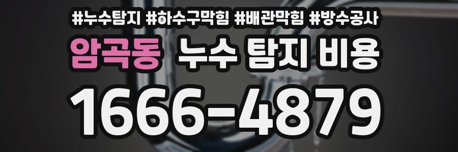 암곡동 누수 탐지 비용