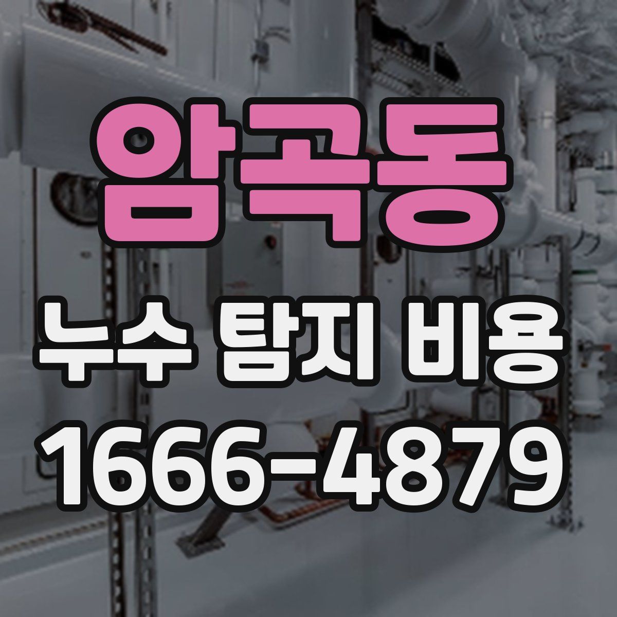 암곡동 누수 탐지 비용