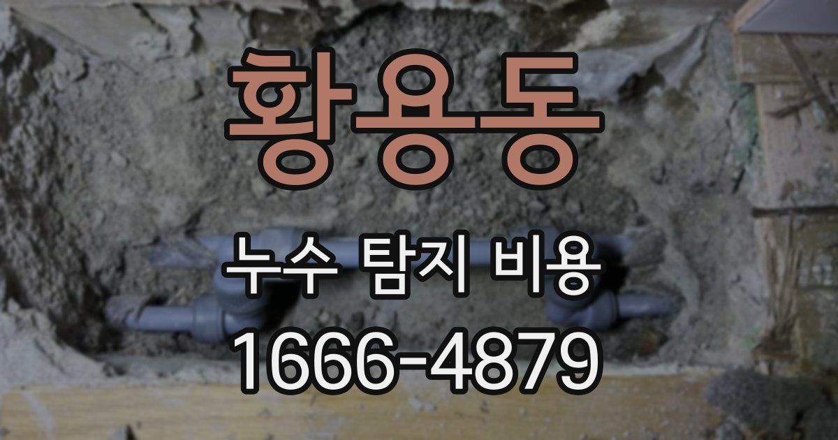 황용동 누수 탐지 비용