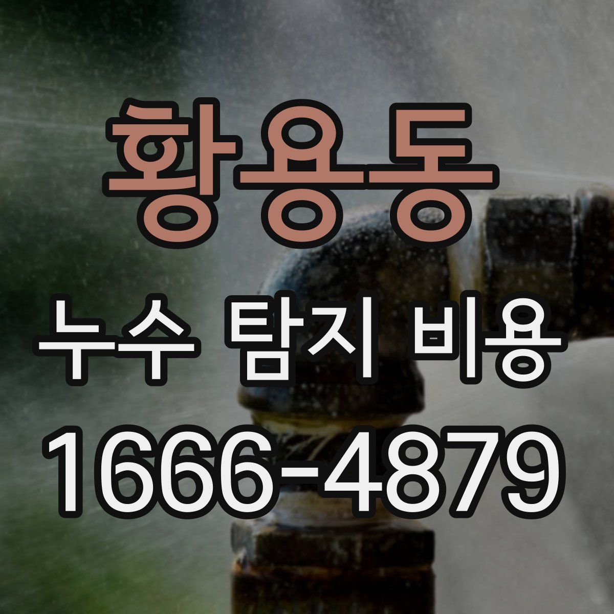 황용동 누수 탐지 비용