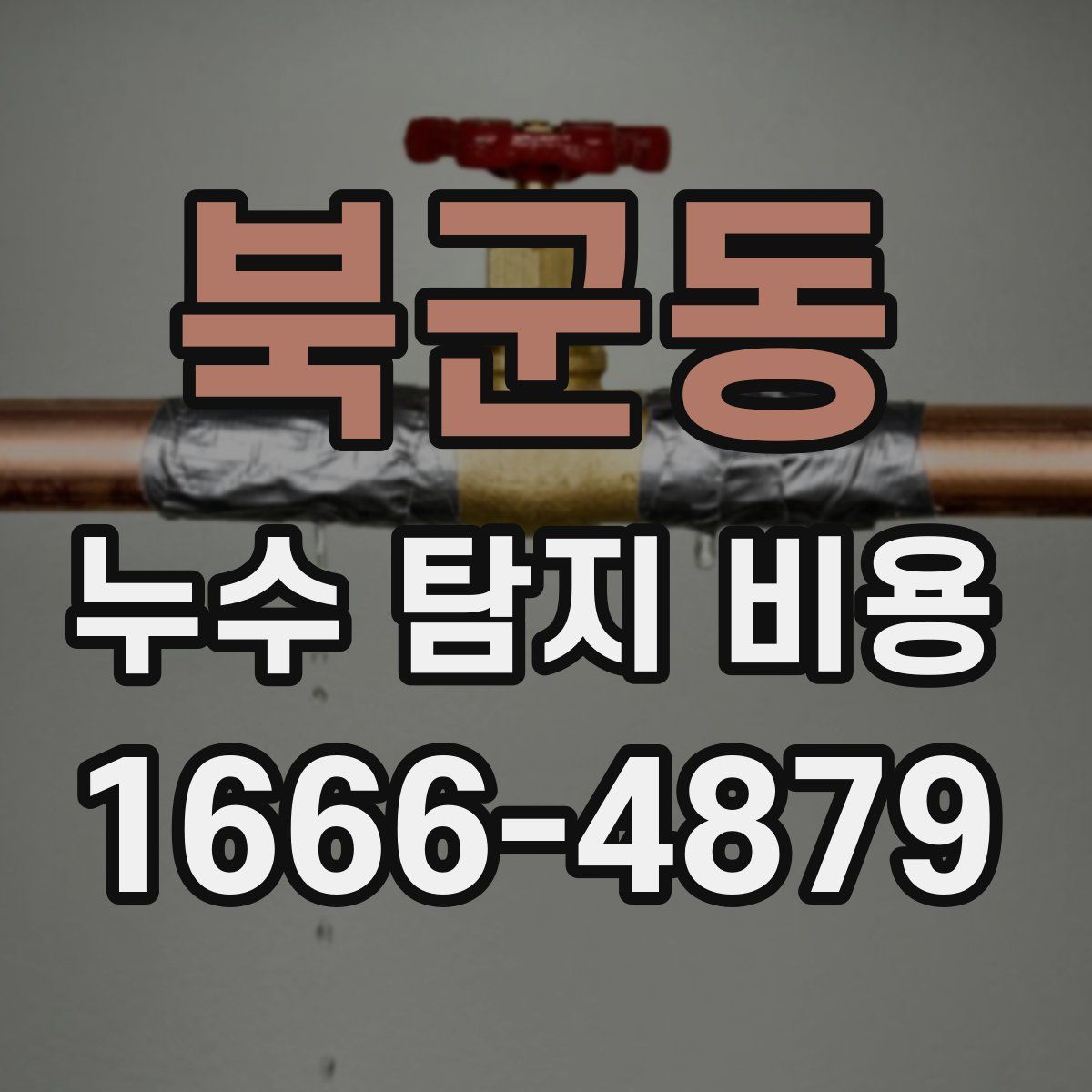 북군동 누수 탐지 비용