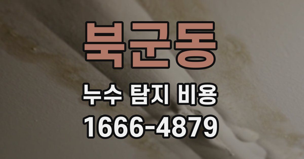 북군동 누수 탐지 비용