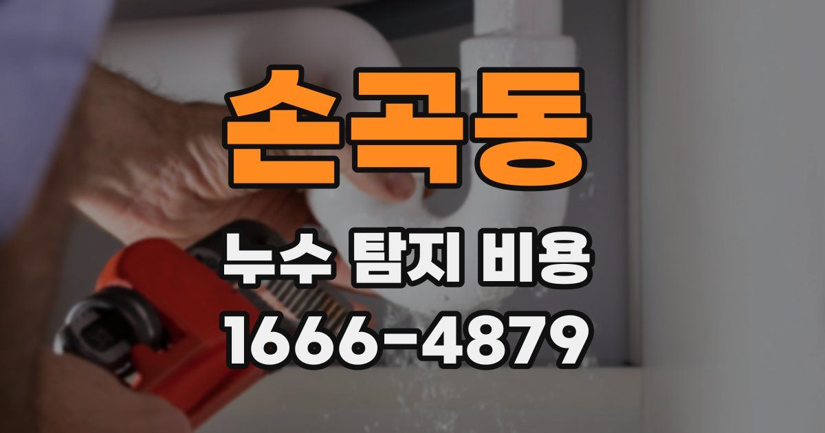 손곡동 누수 탐지 비용