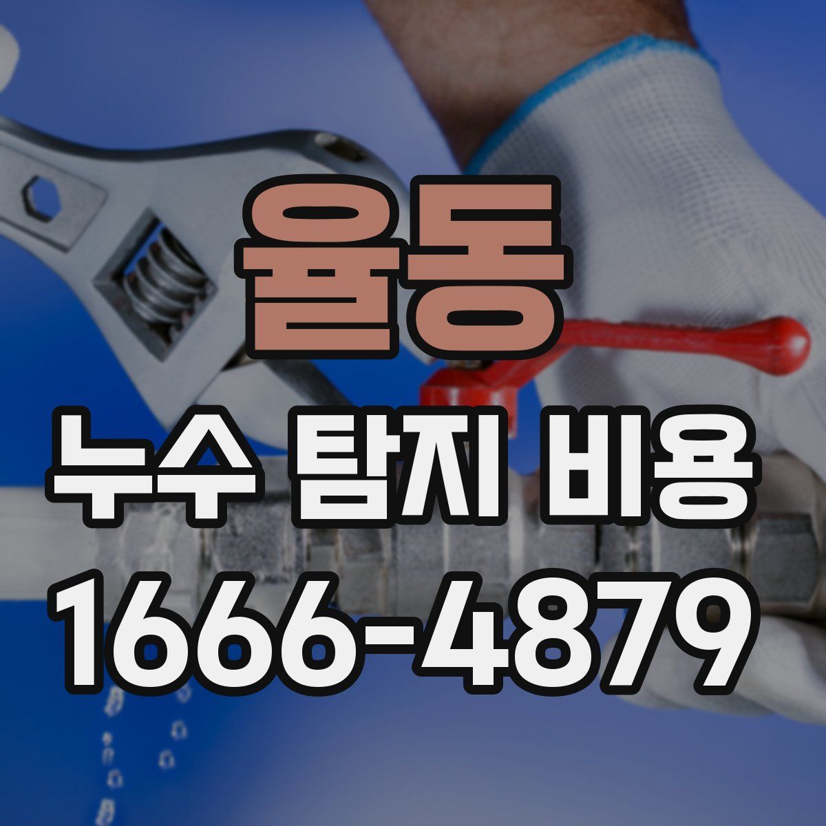 율동 누수 탐지 비용