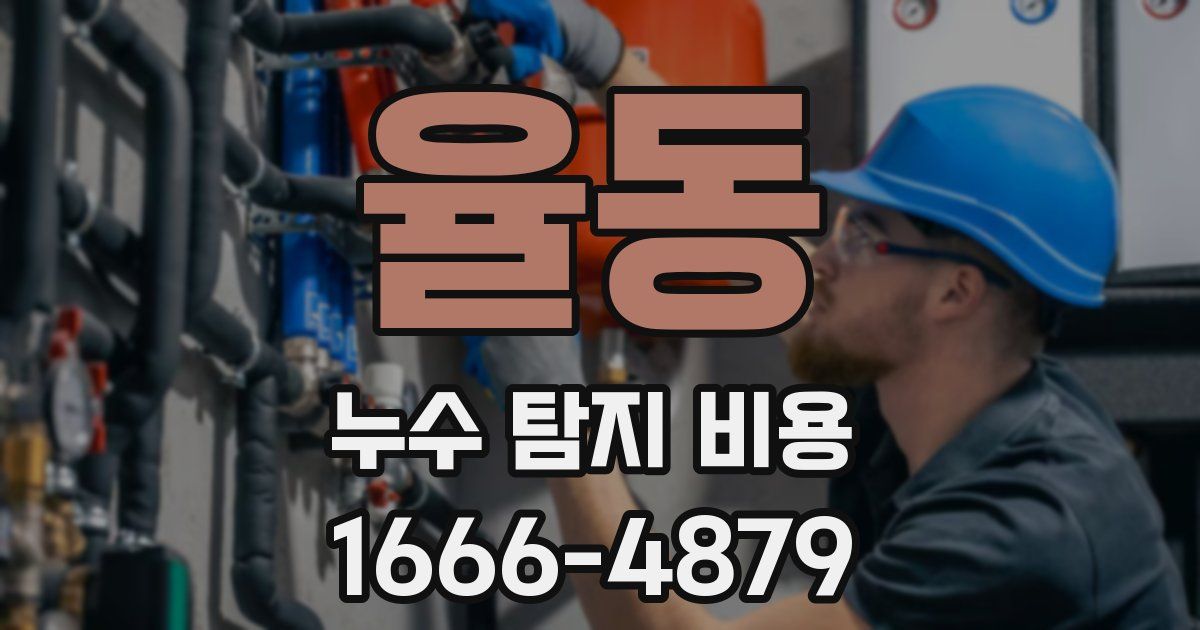 율동 누수 탐지 비용