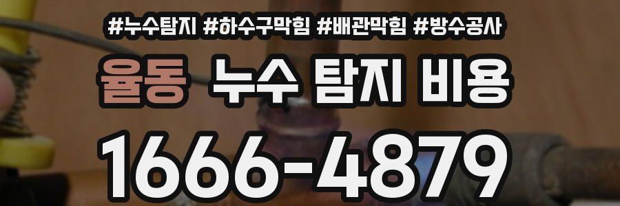 율동 누수 탐지 비용