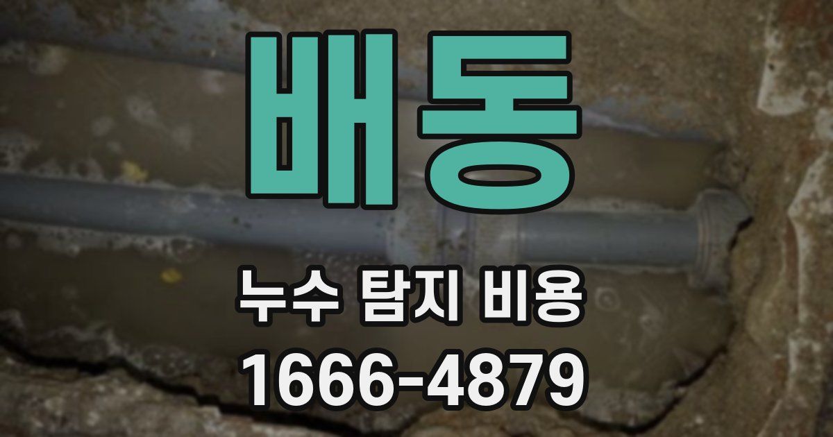 배동 누수 탐지 비용