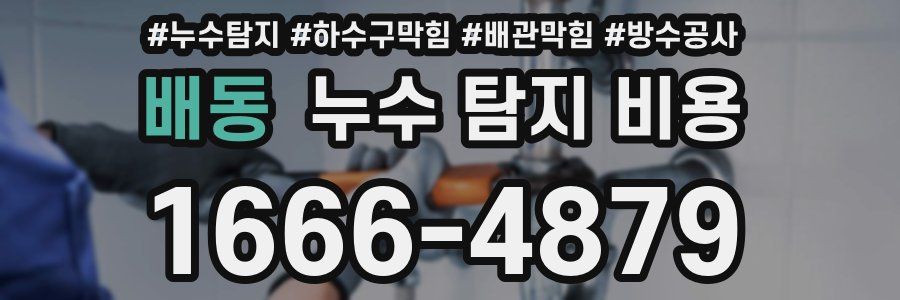 배동 누수 탐지 비용