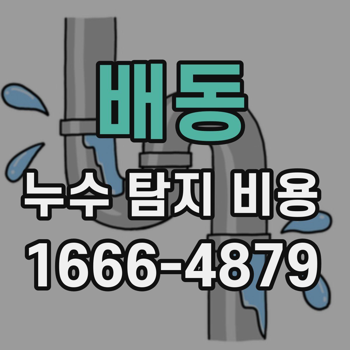 배동 누수 탐지 비용