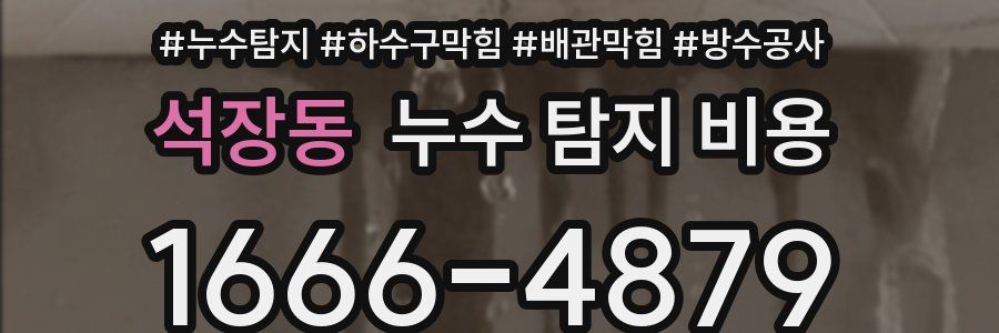 석장동 누수 탐지 비용