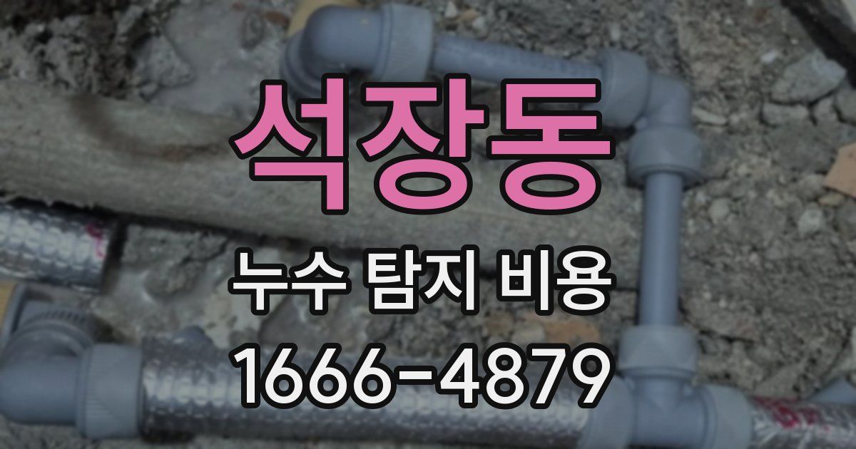 석장동 누수 탐지 비용