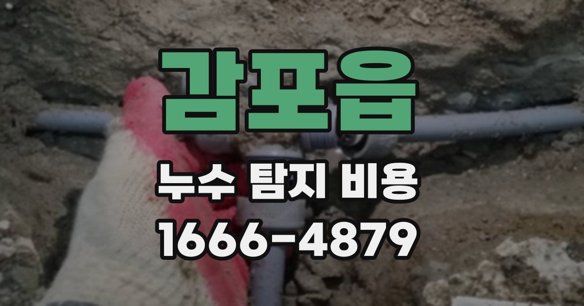 감포읍 누수 탐지 비용