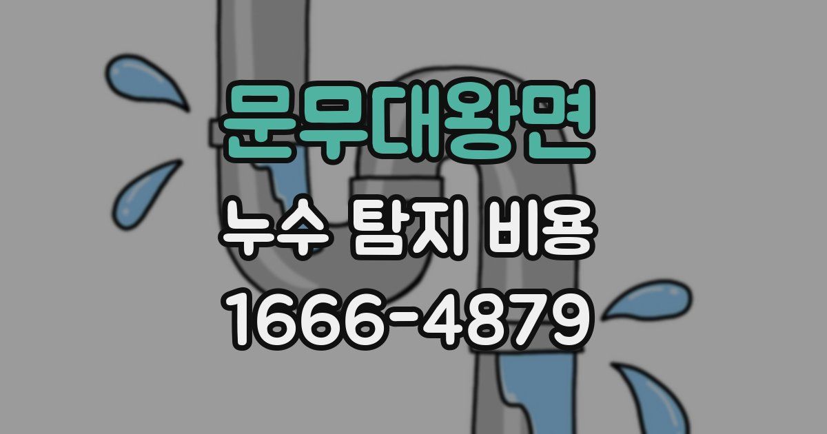 문무대왕면 누수 탐지 비용