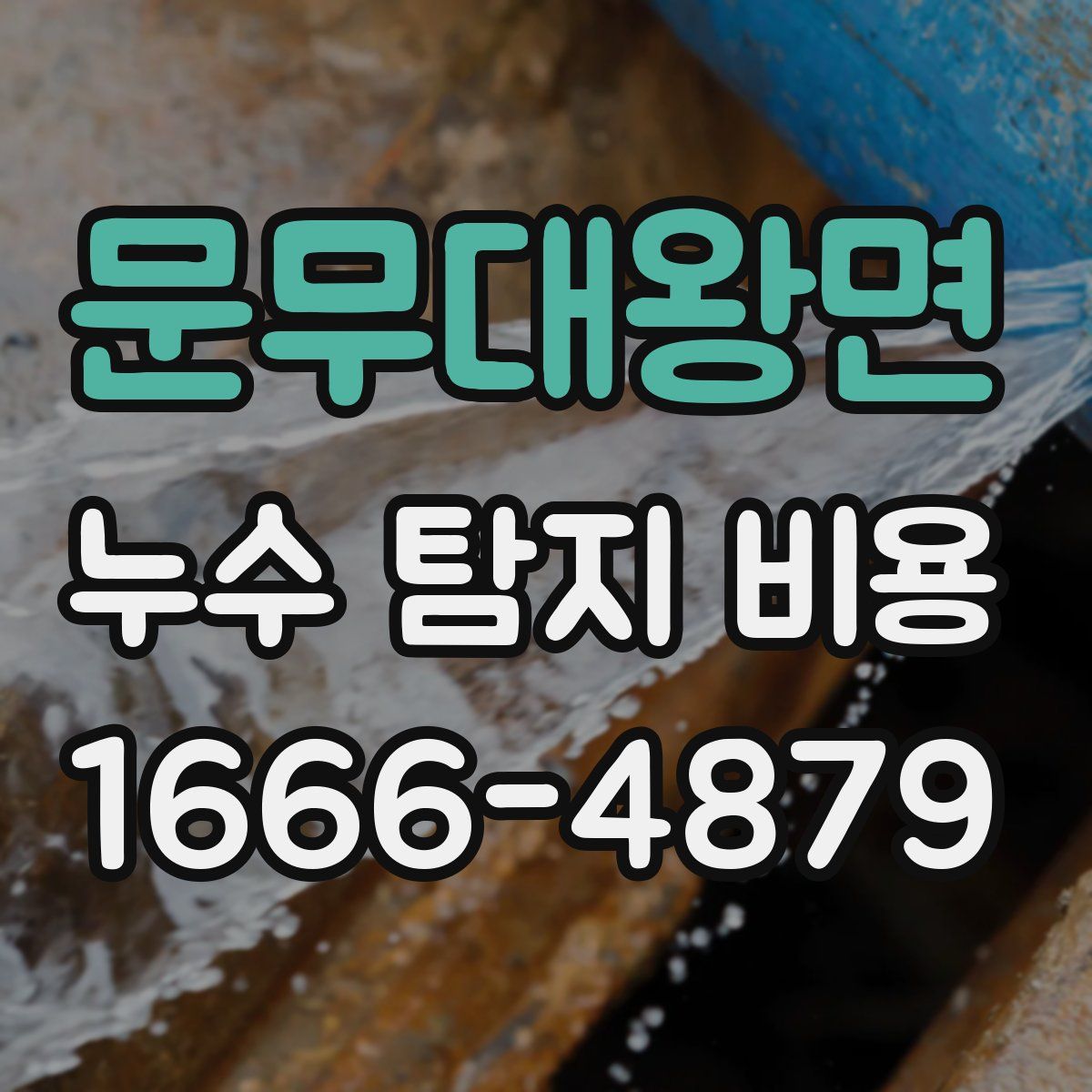 문무대왕면 누수 탐지 비용