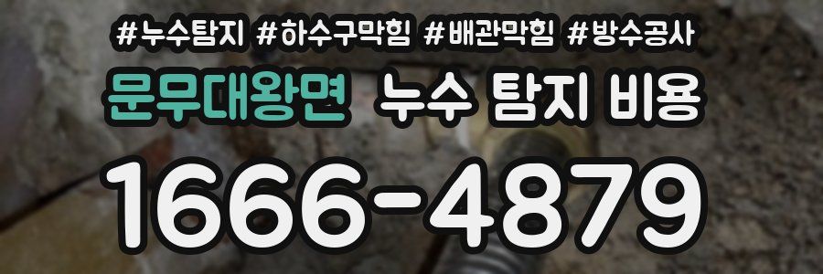 문무대왕면 누수 탐지 비용