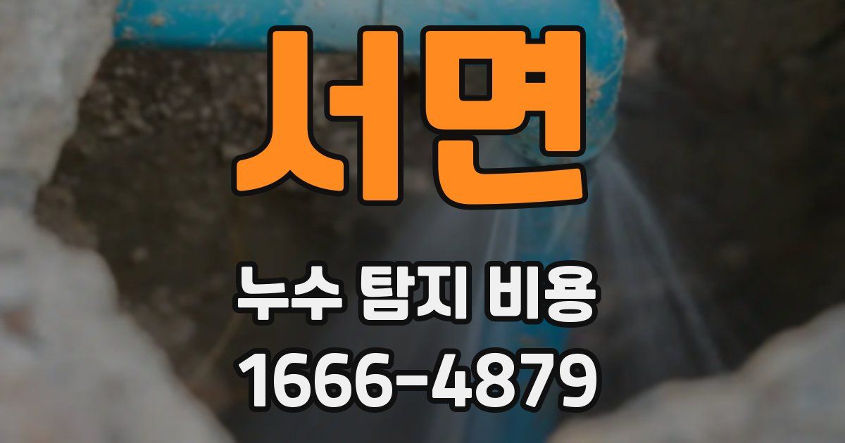 서면 누수 탐지 비용