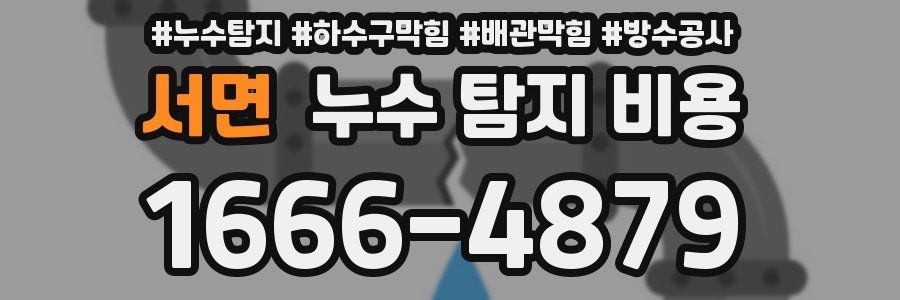 서면 누수 탐지 비용