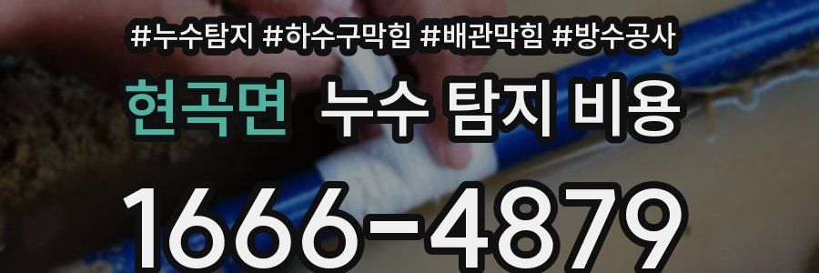 현곡면 누수 탐지 비용