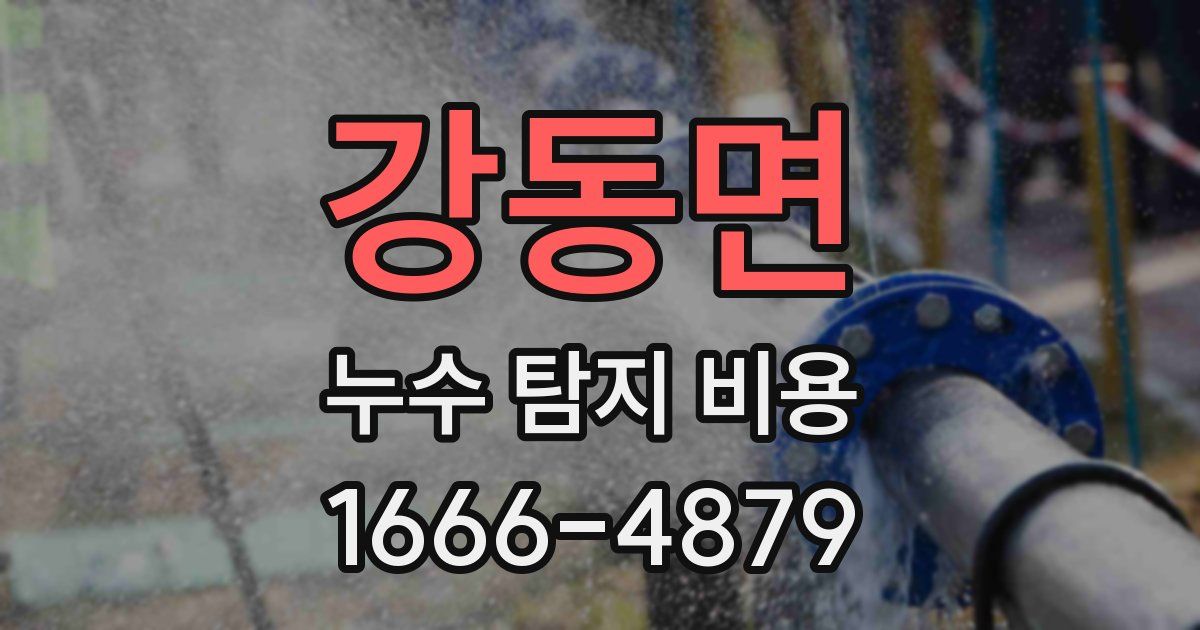 강동면 누수 탐지 비용