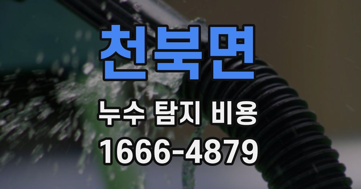 천북면 누수 탐지 비용