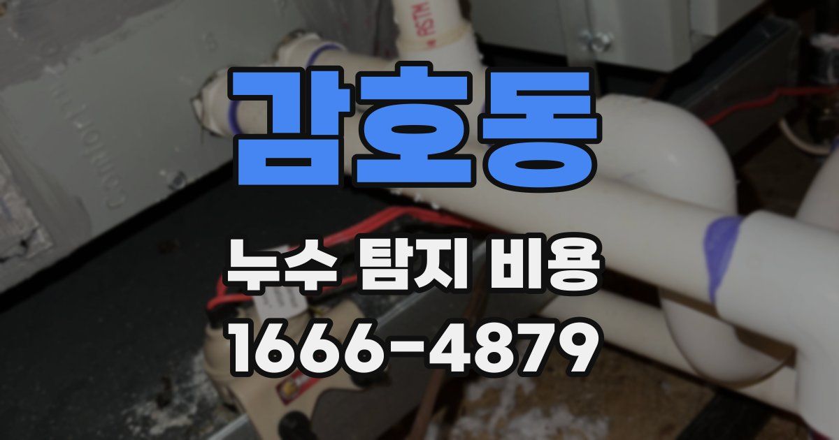 감호동 누수 탐지 비용