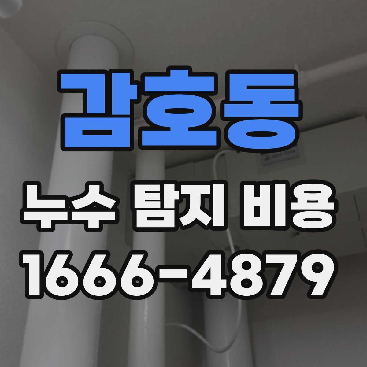 감호동 누수 탐지 비용